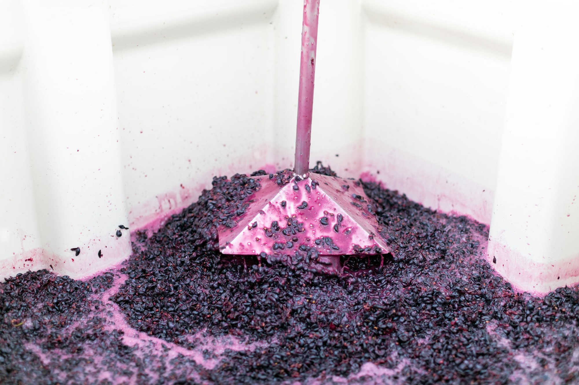 Grape juice flowing freely from a grape press during harvest.